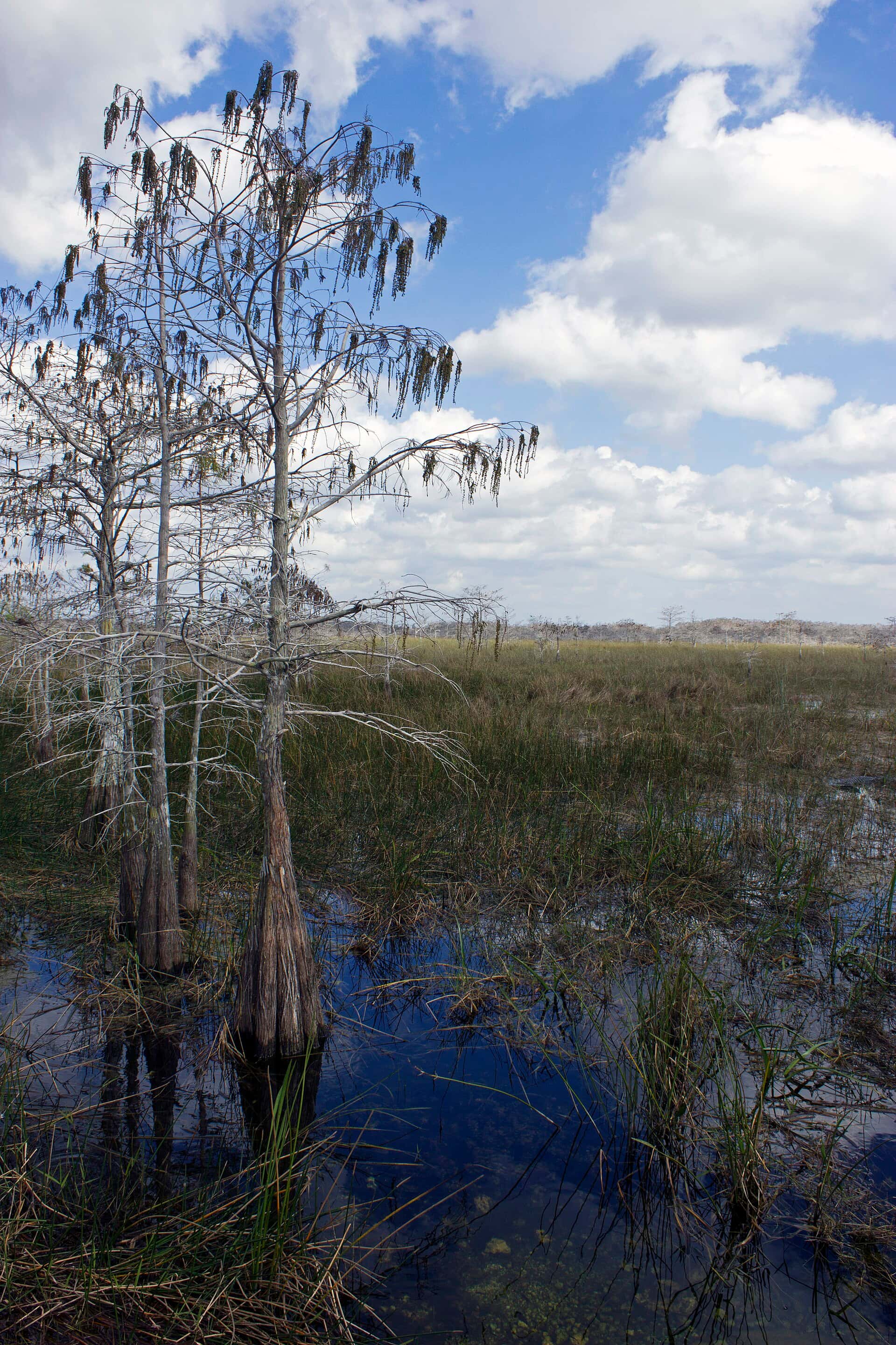 Florida Marks Everglades Restoration Milestone as Accelerated EAA Reservoir Contracts Are Finalized