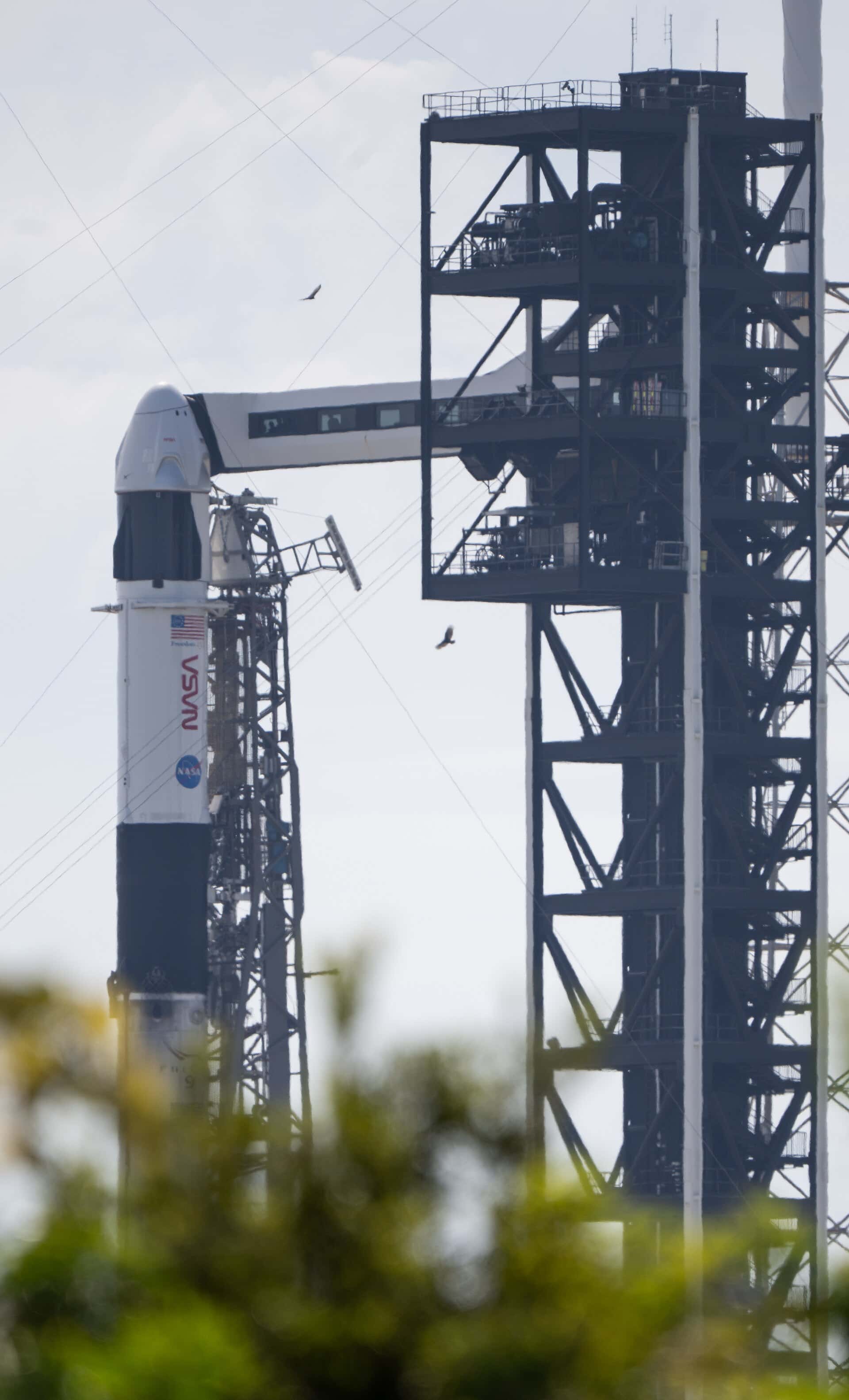SpaceX Launches Bandwagon-5 Rideshare From Cape Canaveral, Lighting Up a Brief Space Jellyfish Over Florida