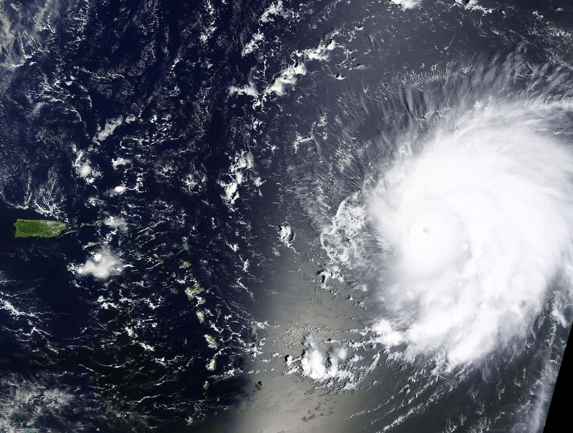 Forecasters Trim Hurricane Outlook as El Nino Builds, Raising Stakes for Florida Insurance