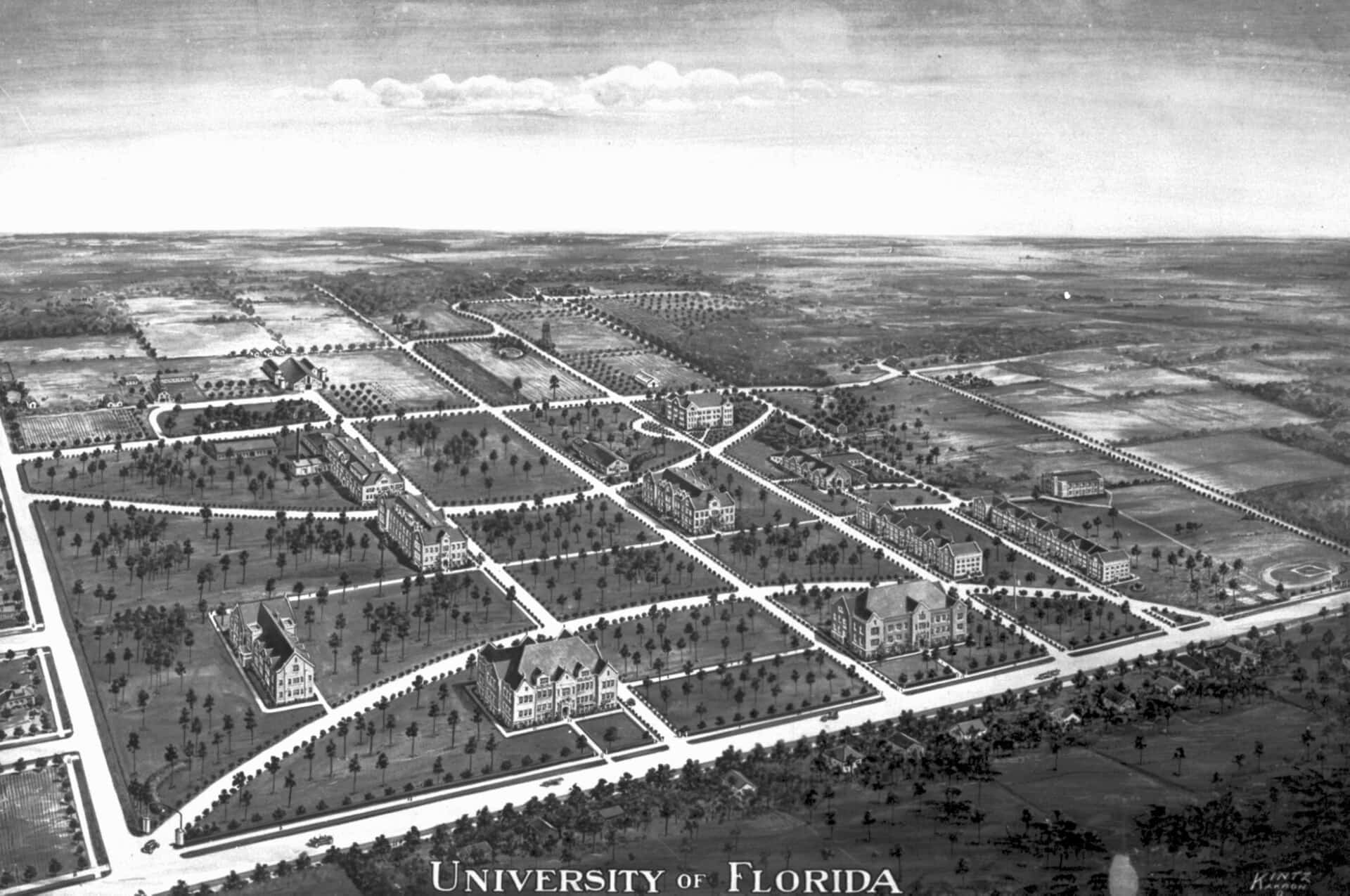 Florida Board of Governors Bars Undocumented Students From Public Universities
