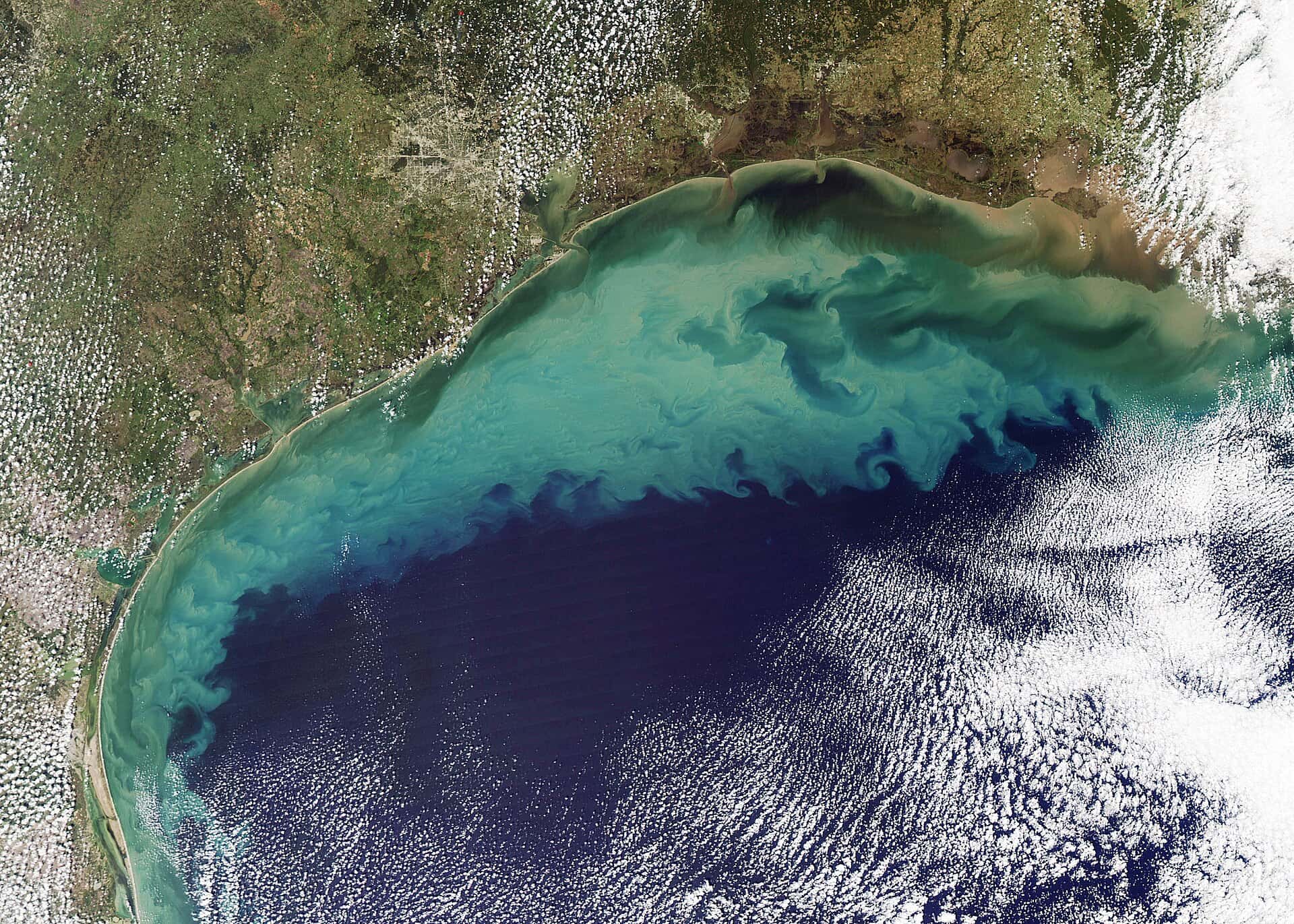Deep Gulf life has collapsed since Deepwater Horizon and shows no sign of recovery, Florida-led study finds