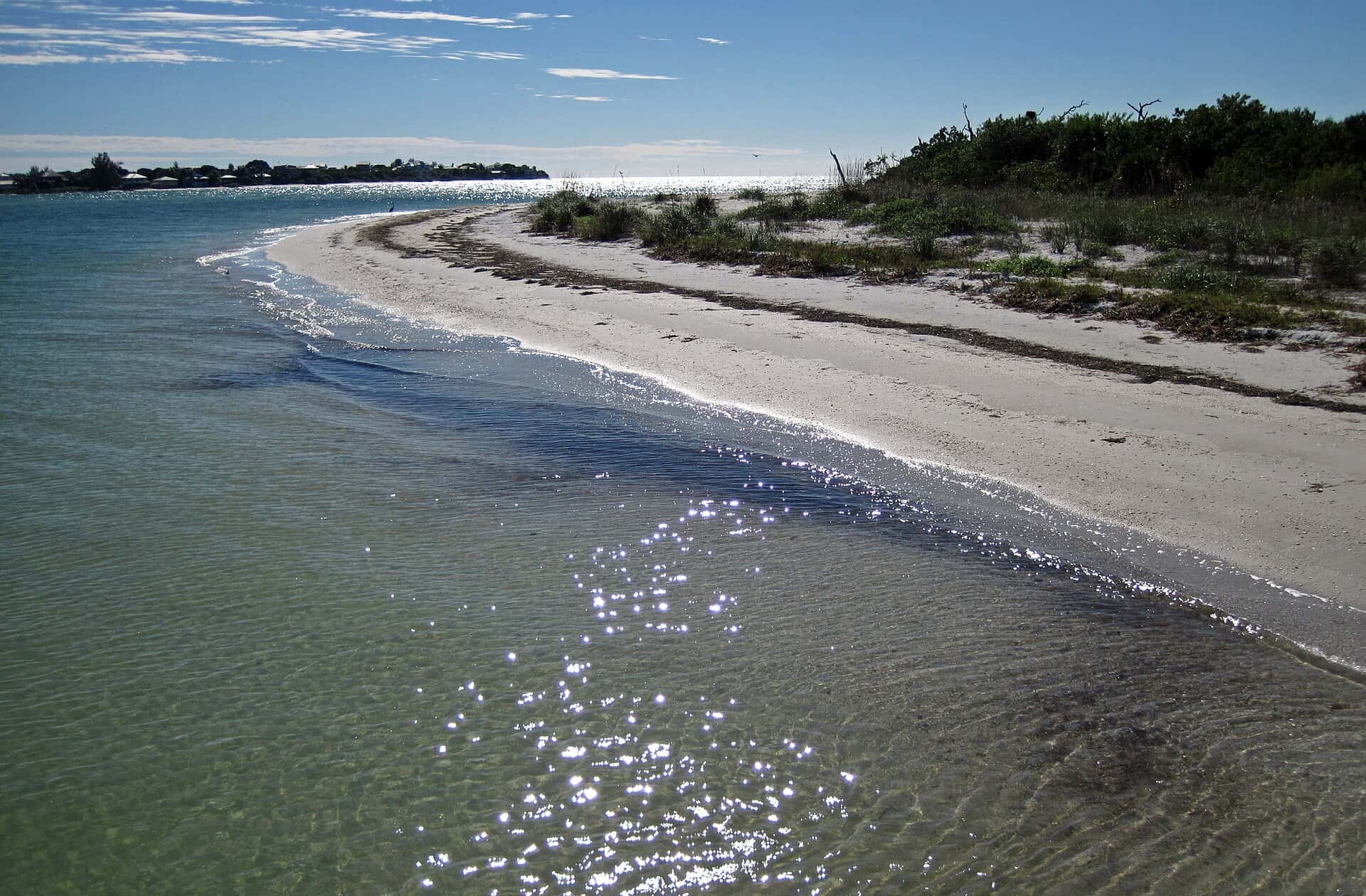 State Scientists Reclassify Northeast Florida Algae Bloom as Lower-Toxin Species